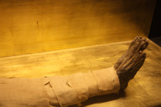 Pied momifié de Djoser